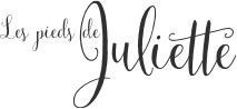 Website (de-CH) Logo